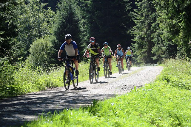 cyklisté v přírodě